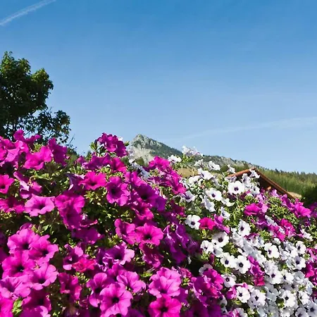 Maison d'hôtes Gastehaus Reichle 4*