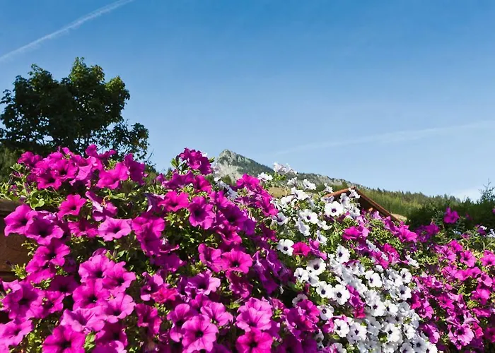Maison d'hôtes Gastehaus Reichle 4*