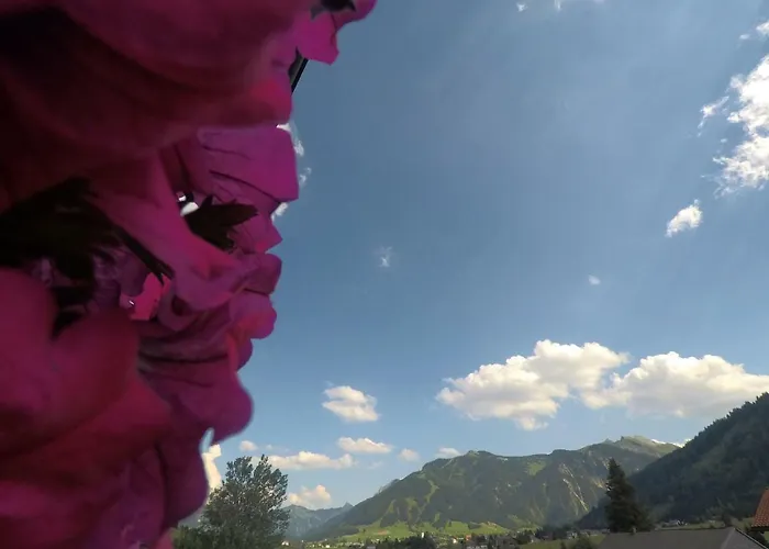 Maison d'hôtes Gastehaus Reichle