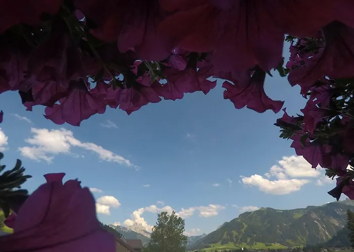 Gastehaus Reichle בית הארחה 4*